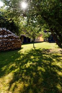 a tree in the middle of a yard with a stone wall at Ferienhaus Kastanie - Klein Siemen in Kröpelin