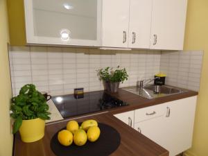 Kuchyňa alebo kuchynka v ubytovaní Apartamenty Polna