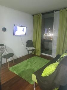 a living room with a television and a green rug at Terminal Dpto Estación Central Equipado in Santiago
