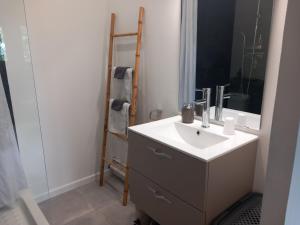 Koupelna v ubytování Studio avec jardin Morne des Esses