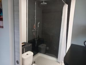 Koupelna v ubytování Studio avec jardin Morne des Esses