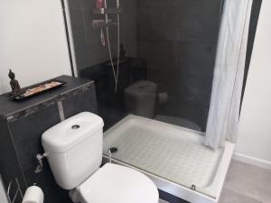 Koupelna v ubytování Studio avec jardin Morne des Esses