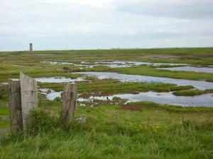 Afbeelding uit fotogalerij van Studio Even dur Uut in Noordgouwe