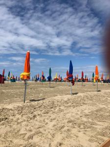 a group of umbrellas on a beach with a group at Hastings, apt 2 chambres hyper centre de Deauville avec parking in Deauville +7 photos