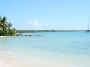 a view of a beach with a boat in the water at STUDIO FACE MARINA in Saint-François