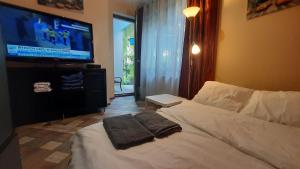 Posteľ alebo postele v izbe v ubytovaní Apartament Osiedle Garnizon
