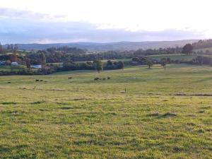 Fotografie z fotogalerie ubytování Hermosa Casona en los Muermos v destinaci Los Muermos + 25 fotografií