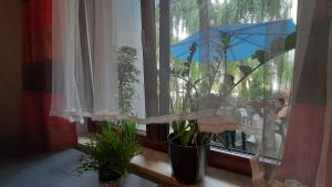 Vonkajšia záhrada v ubytovaní Apartament Osiedle Garnizon