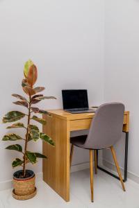 a wooden desk with a laptop and a plant at Cozy Studio in the City Center in Thessaloniki