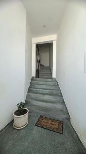 Billede fra billedgalleriet på Al Boa Passagem i Peso da Régua