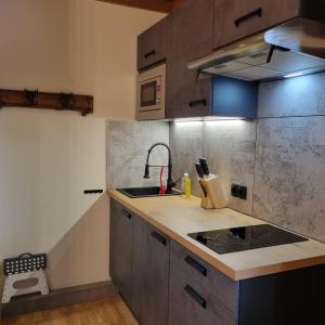 Kuchyň nebo kuchyňský kout v ubytování Landhaus Nikki