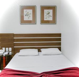 Postel nebo postele na pokoji v ubytování Papagaio Hotel