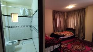a small bathroom with a shower and a toilet at Kasbah ADRAR in Imilchil