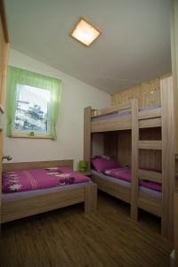 a bedroom with two bunk beds and a window at Slunečná stráň Rudíkov in Rudíkov