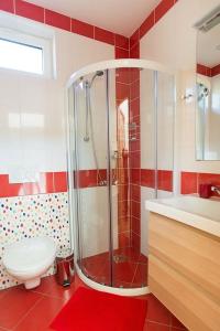 a bathroom with a shower and a toilet and a sink at Slunečná stráň Rudíkov in Rudíkov