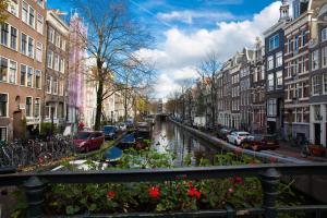 a city street with buildings and a canal with flowers at B&B Bloemgracht in Amsterdam