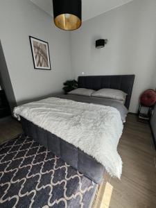 Fotografia z galérie ubytovania Luxury Apartment v destinácii Ustka