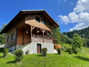 a house on a hill in a field at CABANA MERISORULUI in Borşa