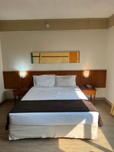 Postel nebo postele na pokoji v ubytování Hotel Live Logde V Mariana Pq Ibirapuera UH-511