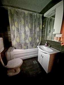 een badkamer met toilet en wastafel bij Apartman San in Bajina Bašta