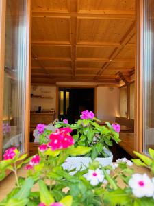 Vrt pred nastanitvijo Neider Hotel - Alpine Retreat Sauris