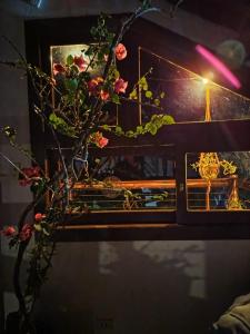 Fotografie z fotogalerie ubytování Chalés Pousada Malacara v destinaci Praia Grande