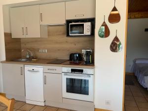 a small kitchen with white cabinets and a microwave at Grand Studio cosy in Sallanches