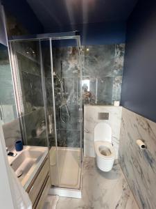 a bathroom with a shower and a toilet and a sink at Palm Beach in Dziwnówek