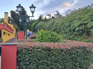 una strada con fiori, lampioni e una siepe di Classic Car House a Santa Cruz