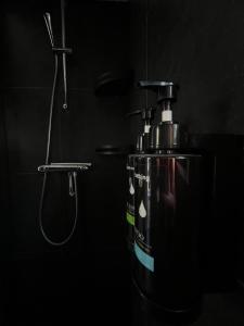 a bathroom with a blow dryer and a shower at Modern chalet in de bossen van de Veluwe in Epe