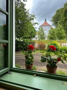 Garður fyrir utan Apartmány Hodňov 17