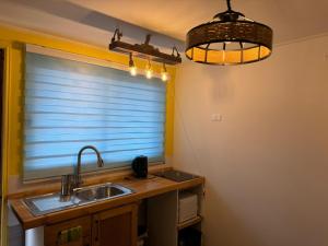 una cocina con fregadero y ventana en Kapai Departamentos de Turismo, en Valdivia