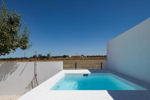 une piscine sur le toit d'une maison dans l'établissement Casa Paraíso, à Ferreira do Alentejo
