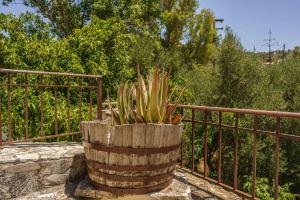 A garden outside PALIAMA BY THE RIVER