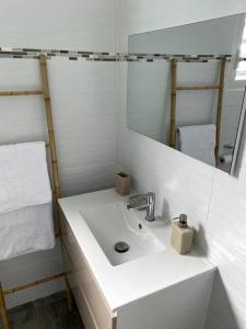 a white bathroom with a sink and a mirror at Tiny house paisible en campagne in Petit-Bourg