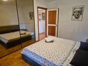 a bedroom with two beds and a mirror at Executive Lake View with Private Garden in Lugano
