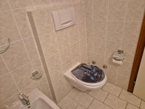 a bathroom with a toilet and a sink at Executive Lake View with Private Garden in Lugano +26 photos