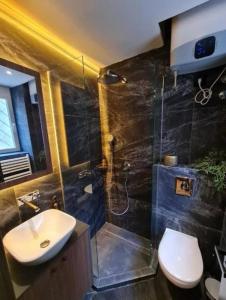 a bathroom with a sink and a toilet and a shower at Apartment Despot in Belgrade