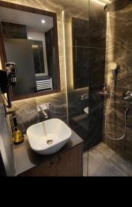 a bathroom with a sink and a shower at Apartment Despot in Belgrade