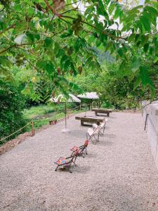 Aed väljaspool majutusasutust 川辺-kawabe 悠- 川遊び-BBQ