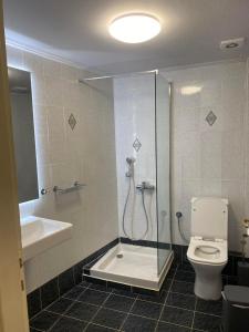 a bathroom with a shower and a toilet and a sink at Alyzia Apartment in Xylokastro +6 photos