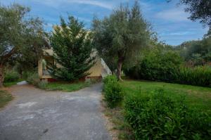 Zahrada ubytování BLISS Corfu