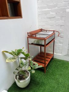 eine Pflanze auf dem Boden neben einem Tisch in der Unterkunft Apartamento en Primer Piso a 7 min del Centro Histórico in Trujillo