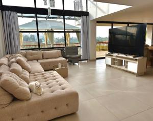a white cat sitting on a couch in a living room at Casa Fénix in Marinilla