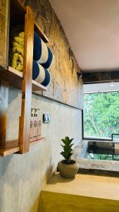 Dapur atau dapur kecil di The Symbol of Ella