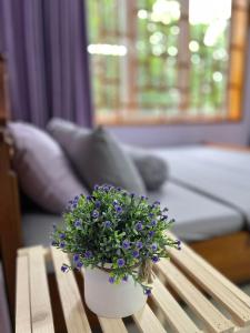 a pot of purple flowers sitting on a coffee table at Na Tuệ An-Homestay Số 3 Hoàng Văn Thái in Tuyên Quang