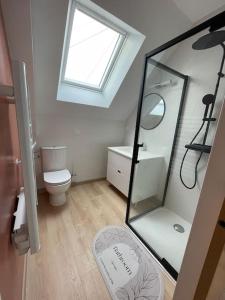 a bathroom with a toilet and a sink and a mirror at Maison indépendante avec jardin in Orvault