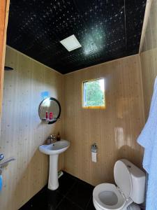 a bathroom with a toilet and a sink at Guest House Mokvare in Gundauri