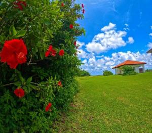 Gallery image of Eco Village Iriomote - Vacation STAY 72060v in Komi
