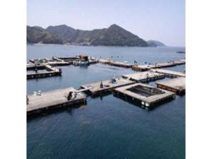 un gruppo di banchine in uno specchio d'acqua di Biz Hotel Kiyura - Vacation STAY 93179v a Yura